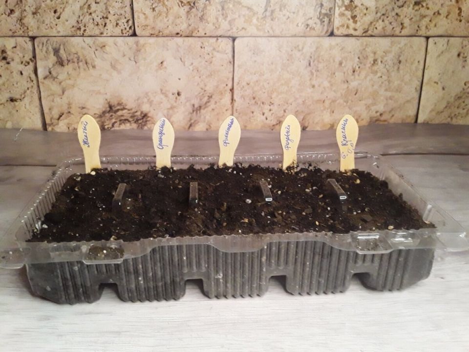 На даче не все как у людей: забавные привычки истинных дачников