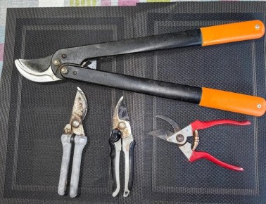 ��� ������� ��������� ������� ��� ���������� ������ � ����