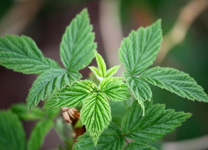 ������� ������ � ����������� �������: ��� ������� ��������� ��������