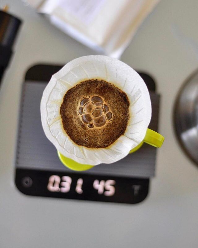 ������� ����: ���� � ���������� ����������