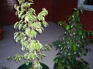 ����� ����������: ������� ��������� ����� � �����������