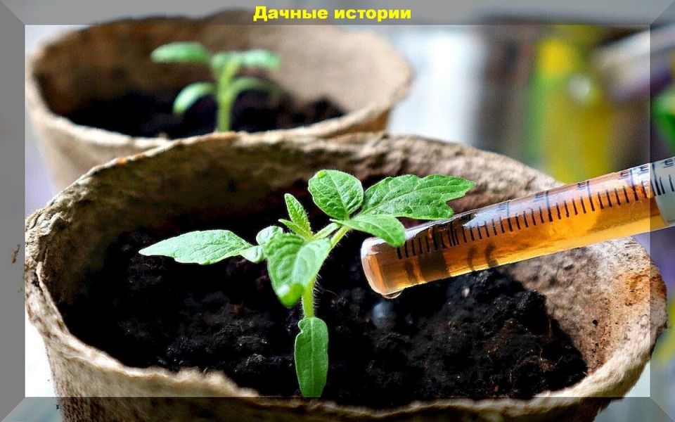 ������� �������� ��������� ��� ��������: ������� � ����������� ������