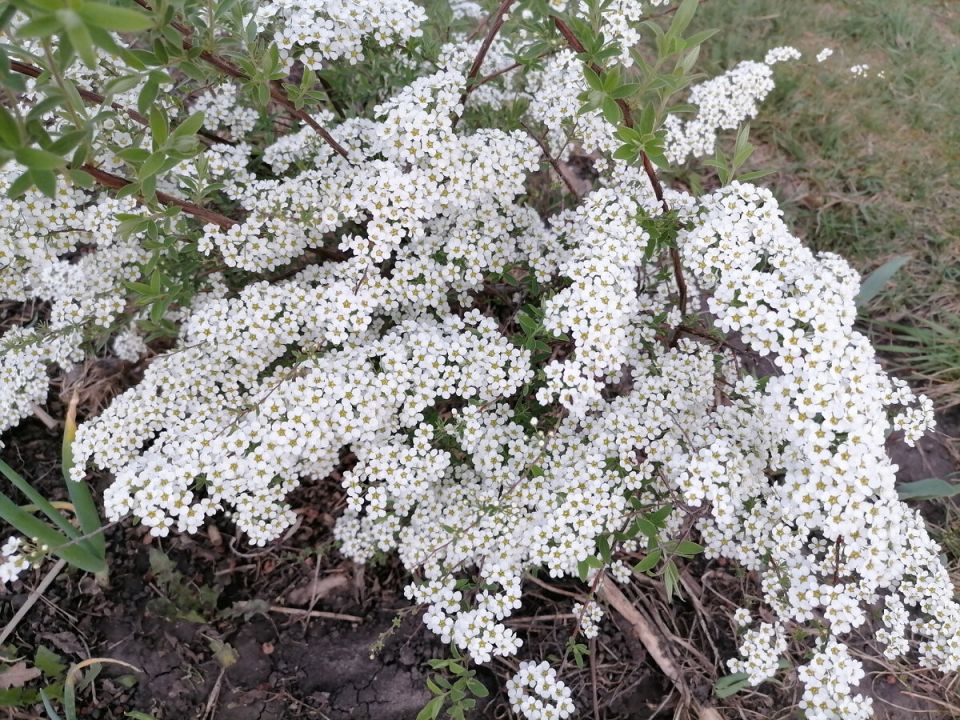 ���-3 ���������� ������ ������ ��� ������ ��������� ����