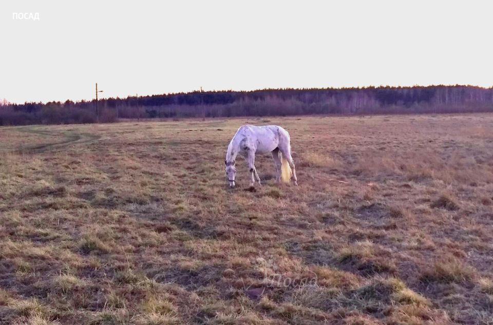 ��� �������� ��������� � �����������: �������� ������