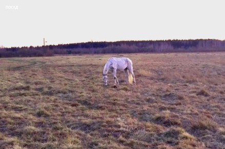 Как избежать выгорания в садоводстве: полезные советы
