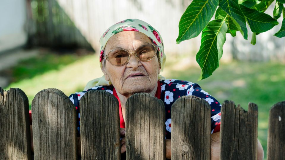 ����� ������������ ������ �� �������� � �������� ������������