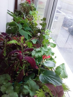 ��� ���������� ����� �� ������������: ������ � ���� ��� ������ ������� ������