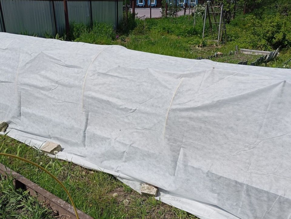 ������� � ������� ��� ������ ������