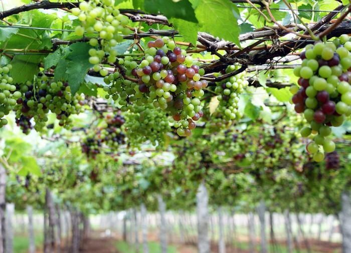 ������� �������� ��������� ���������: ��� �������� �������� ������