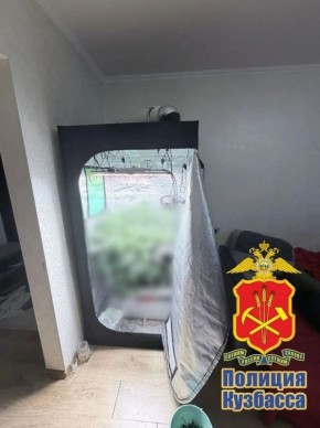 � �������� ����������� ��������� �������, ������������� � �������� ����������� ������� ��� ����������� �������