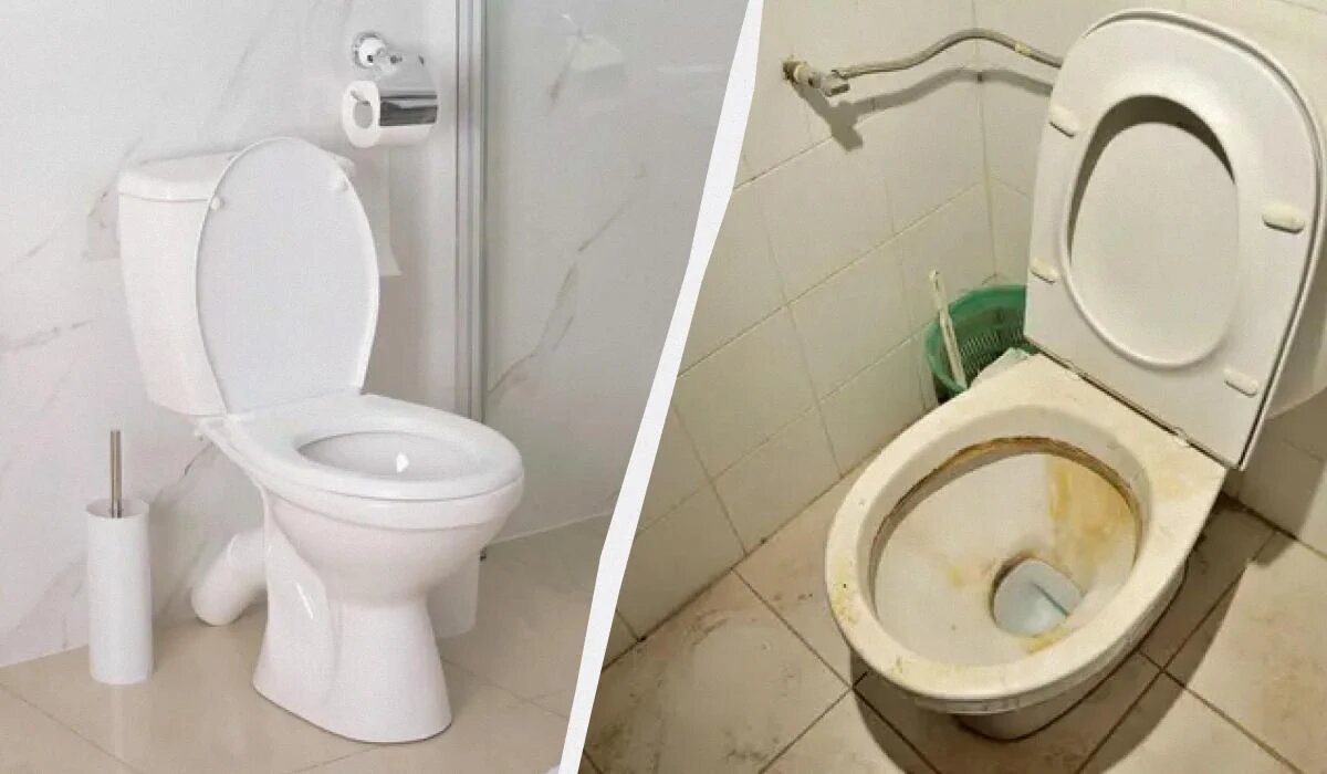 Эффективное средство для белоснежного унитаза: лимонный сок в борьбе с налетом