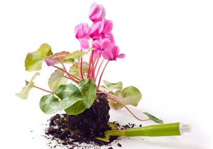 ��������: ��� ��������� ��������� �� ������� ����� �������