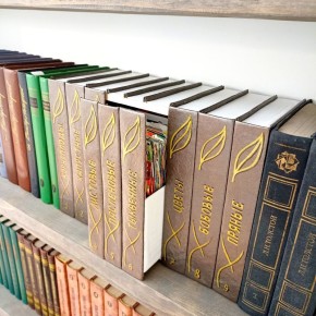 Тайник для семян: как создать стильное хранилище для вашего огорода