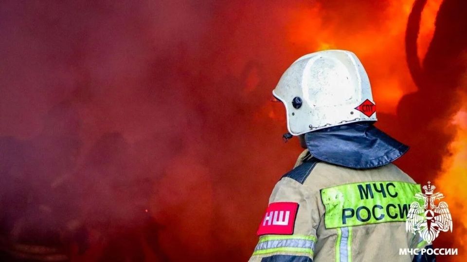 Более двух недель осталось до начала особого противопожарного режима