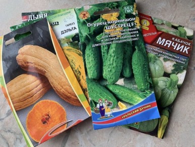 Как прогревание семян помогает получить лучший урожай