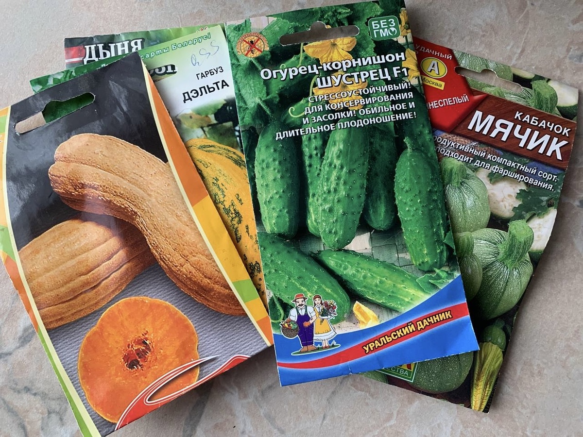 Как прогревание семян помогает получить лучший урожай