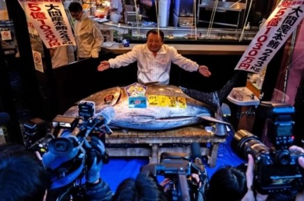 Голубой тунец из Ома: новый рекорд на аукционе в Японии