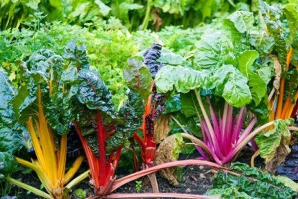 ������� ������: ������������� ������ � ������� �������