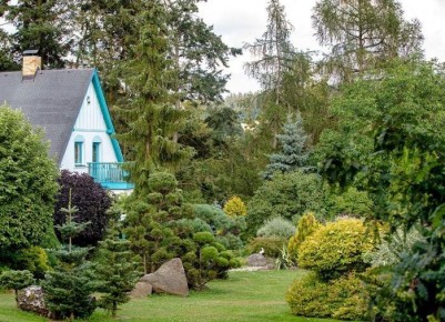 ������ ������� �������� ����� ������ ������������ ���������