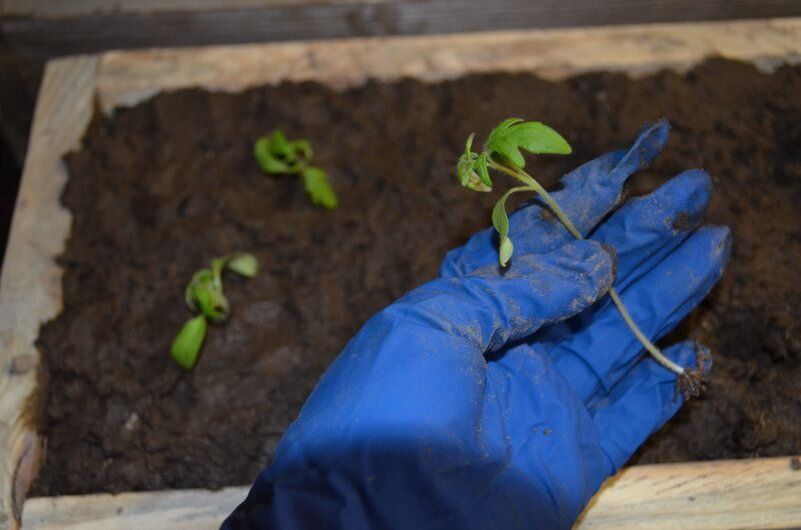 ��������� ������� ���������: ������� ��������� ��������