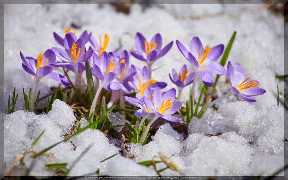 Начало дачного сезона: что нужно сделать в марте для успешного урожая
