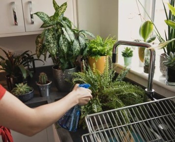 ��� ��������� ��������� �������� �� ����� �������: ������������ ������