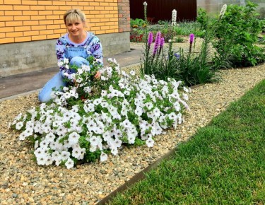 Гравийные клумбы: как создать эффектный дренаж для здорового сада