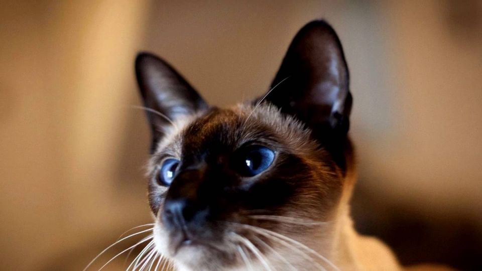 ����� � ����������: ��������, �������� � ����������� ���������