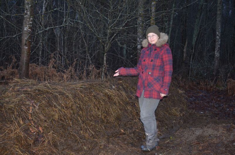 ��� ������ ������������ � ������ ��������� ��� ������ ����