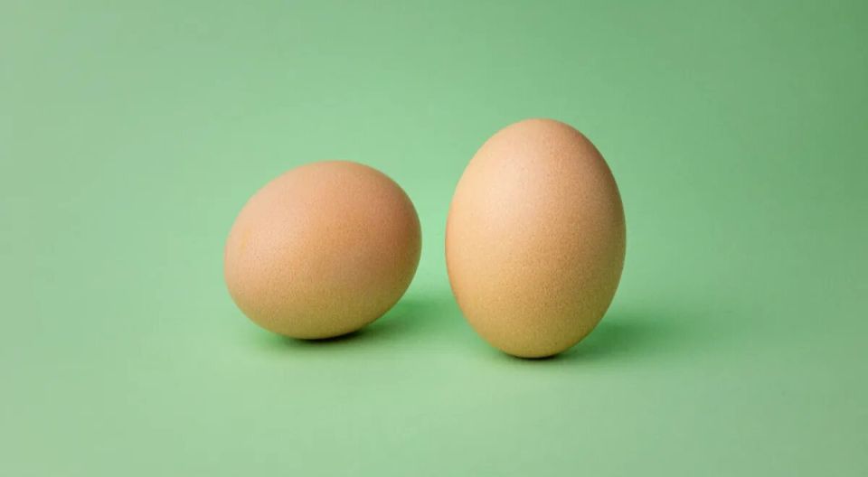 ��� ��� ����������: ��� ������ ����� �� ���� ��� ���������