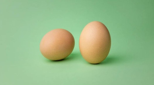 ��� ��� ����������: ��� ������ ����� �� ���� ��� ���������