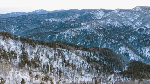 Госдума внедряет новые нормы для заповедников