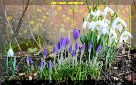 ����������� �������� � ������ �� �������: ��� ������� ������ �����