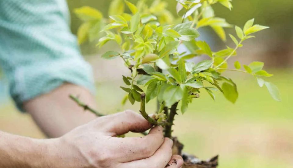 ��� ���������� �� ��������: 10 ������������ �������� �������� �������� ���������