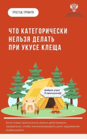 Если клещ все-таки укусил, что делать?
