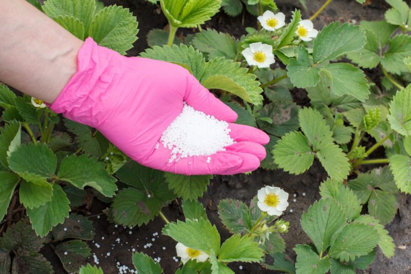 ������ ������ �� ��������� �������� ������