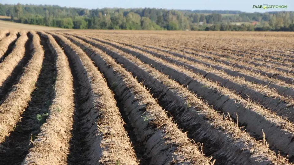 ������� ������ ������������ � ��������: ������� �� ���������� ���������