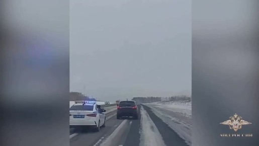 «Давай стреляй в меня. Что вы гонитесь за мной, а?»