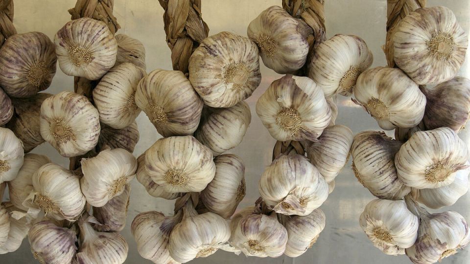 ������� �������� ������� �������: ��� ����������� ����� ��� ������