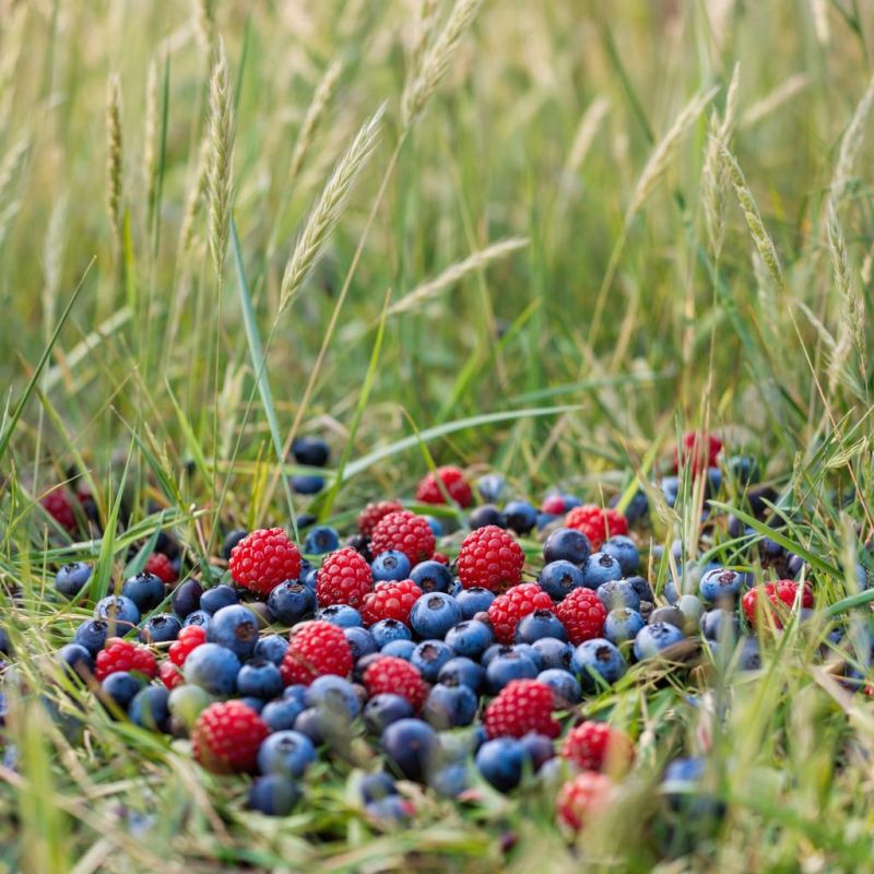 ������ ����: ��� �������� �������� ����� � ����� ��������� � � �������