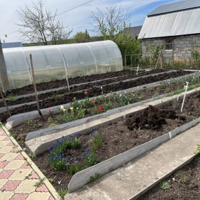 ���������� ����� � �����: ������� ��������� ����������� � ���������� ����