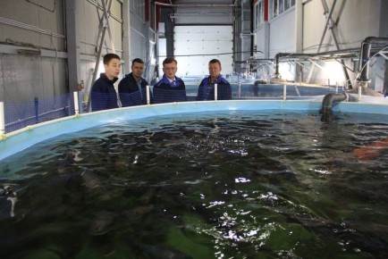 Форелеводство в Пензенской области: как государственная поддержка открывает двери для бизнеса