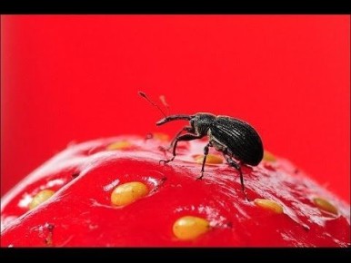 ��� ���������� � ������������� �� ��������: ������� � ������ ��� ��������� ������