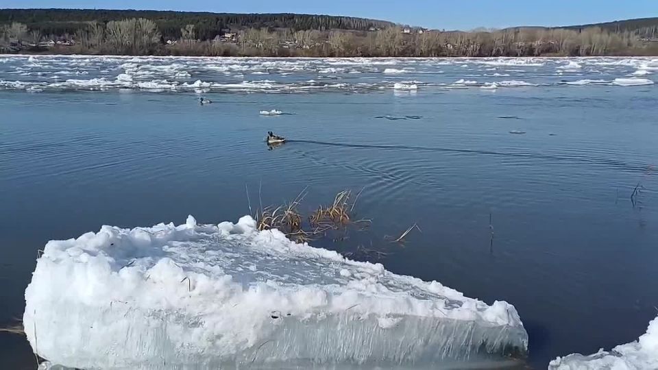 ������� ��������: ������� �� ����!