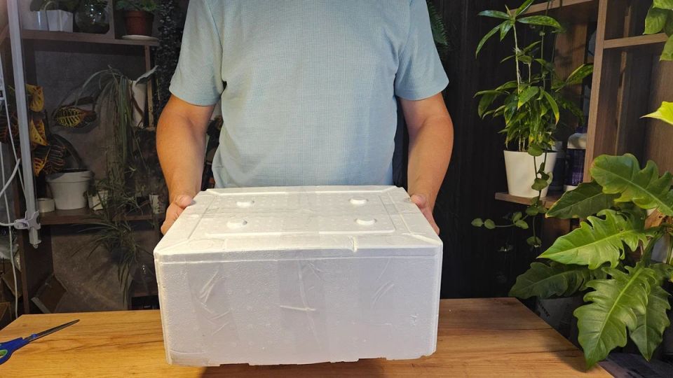 ����������� � ���������� �������: �������������� ������ � ������ � �����������