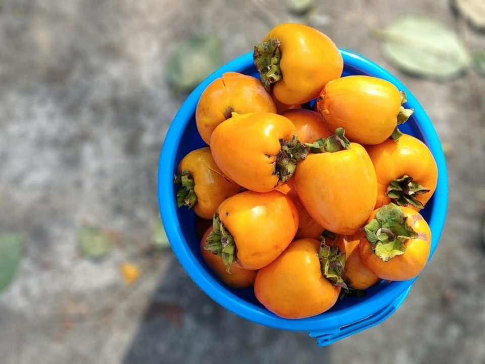 ��� �������� ����� ������: �������� ������