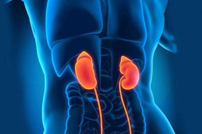 ������� ������: ������� � ������ ������ ������� ������ ������� �����