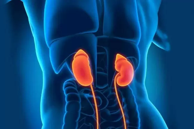 Мировой рекорд: мужчина с почкой свиньи пережил девять месяцев жизни