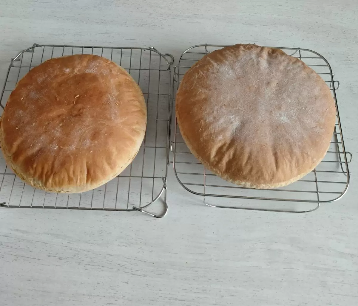 Что можно готовить в Грандшефе: мифы об обычных аэрогрилях