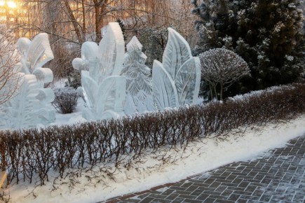 Как сделать зиму красивее: идеи зимнего ландшафтного дизайна